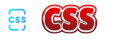 CSS Logo